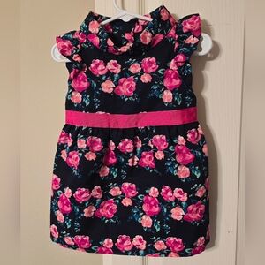 Janie and Jack Floral Dress 12-18 Months Navy Pink Roses Ruffle Sleeves